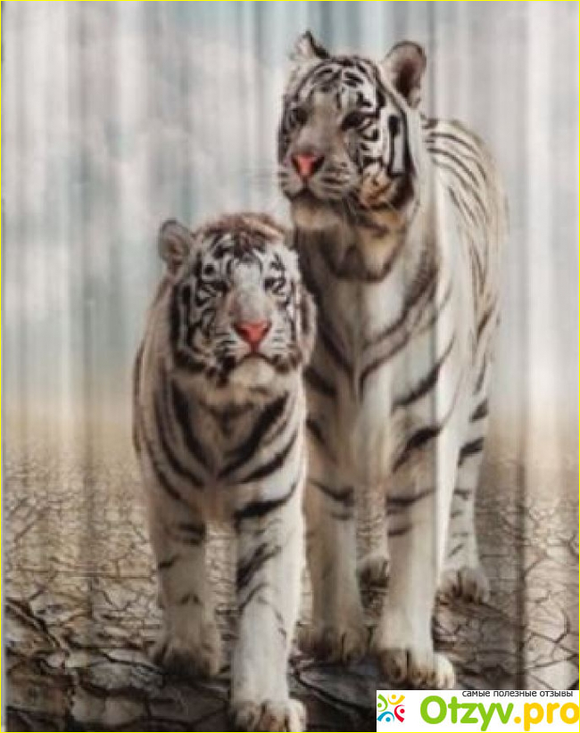 Фотошторы Zlata Korunka «Белые тигры»