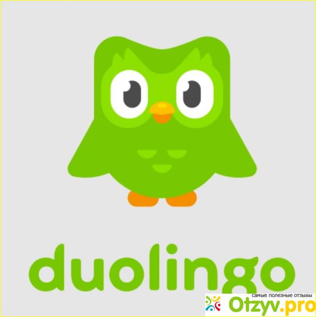 Duolingo нацелен на несколько навыков