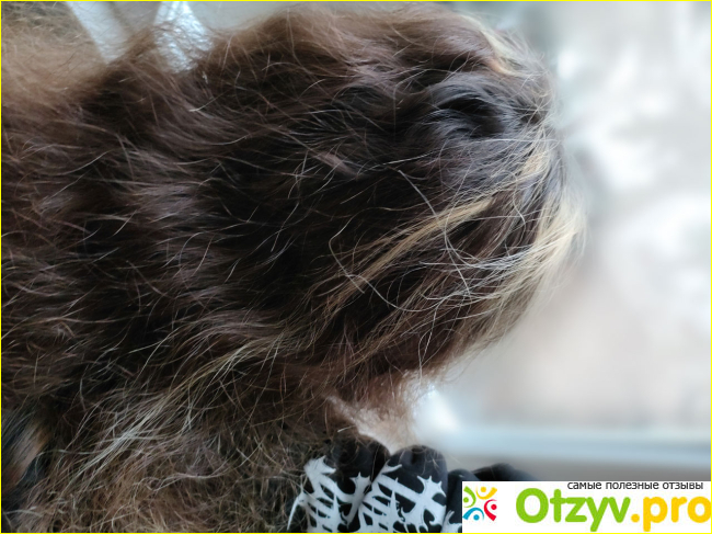 Детский шампунь-бальзам для волос Faberlic Lovely moments Малиновые мишки фото2