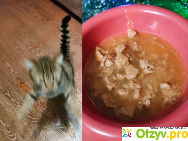 Влажный корм для кошек Felix Суп с курицей в соусе фото2