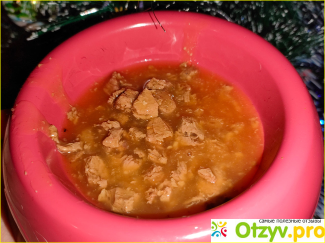 Влажный корм для кошек Felix Суп с курицей в соусе фото4